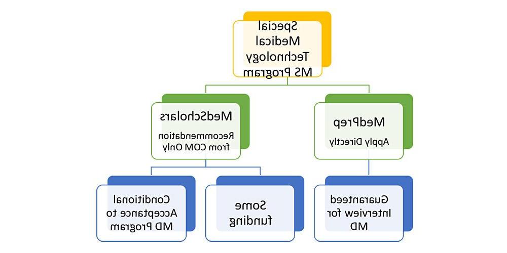 医学学者组织结构图-路径.