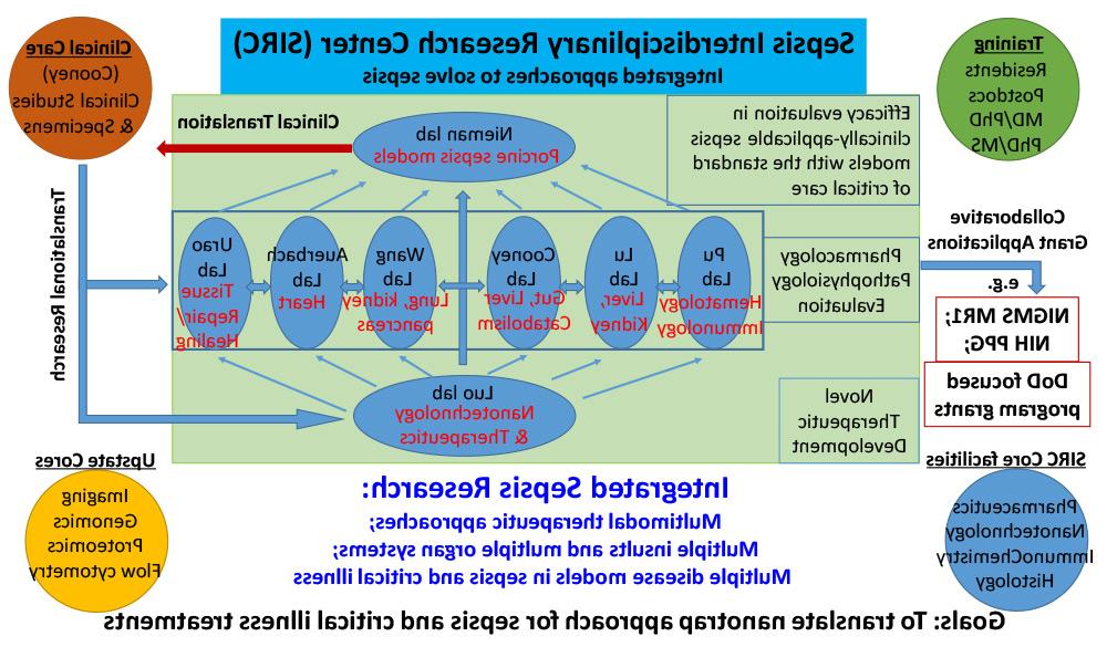 纽约州立大学上州医科大学SIRC概述